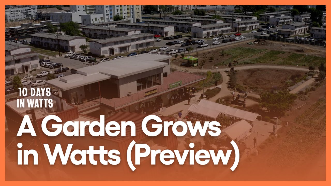 A Garden Grows in Watts (Preview) | 10 Days in Watts | Season 1, Episode 4 | PBS SoCal