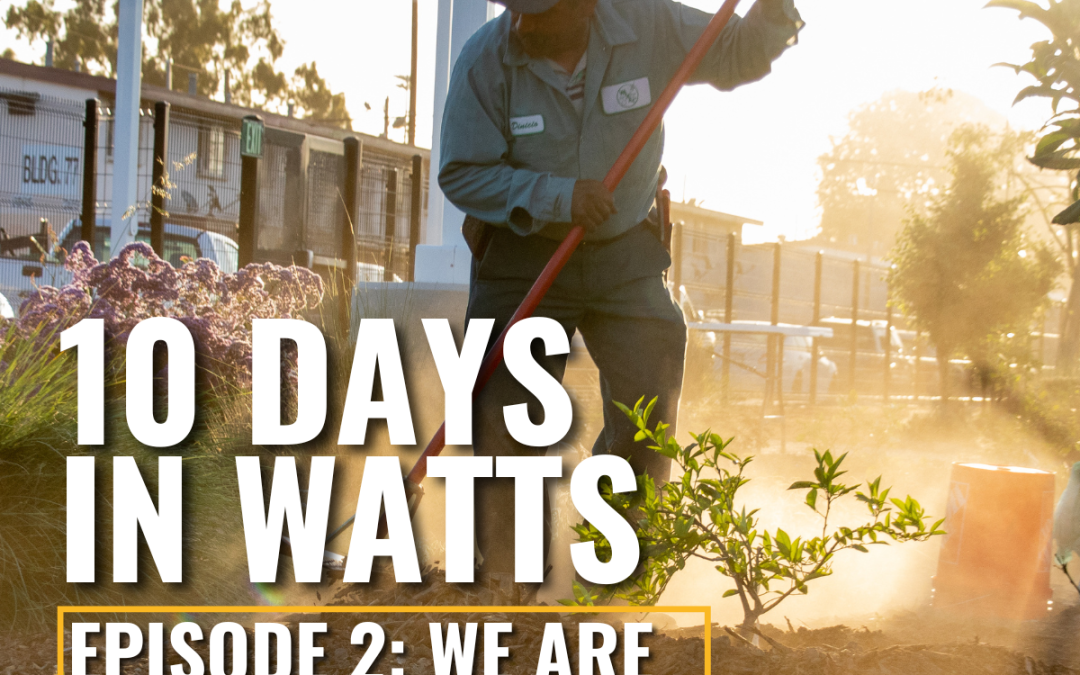 10 Days in Watts: Episode 2: We Are Taught to Survive