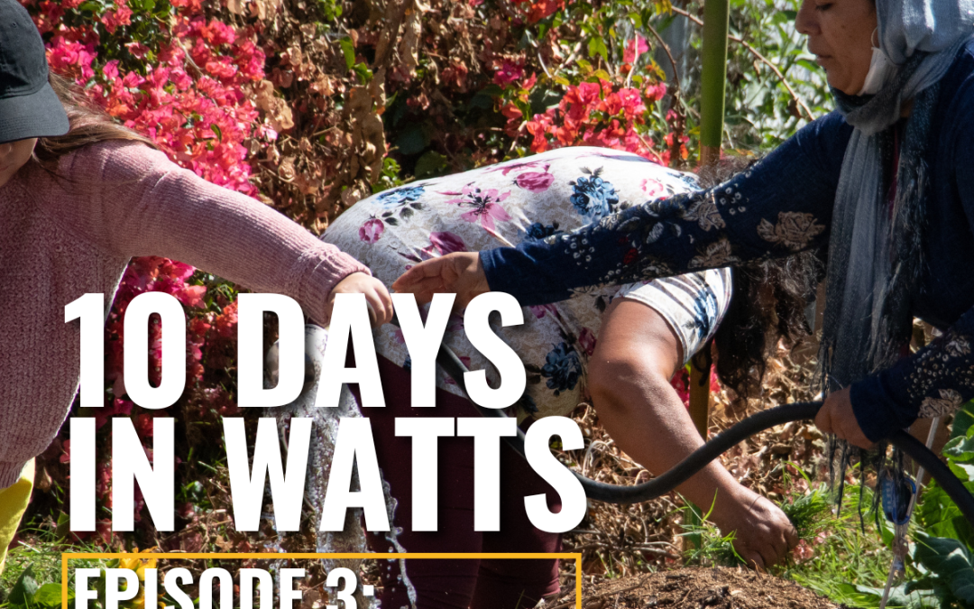 10 Days in Watts: Episode 3: Watts Pride